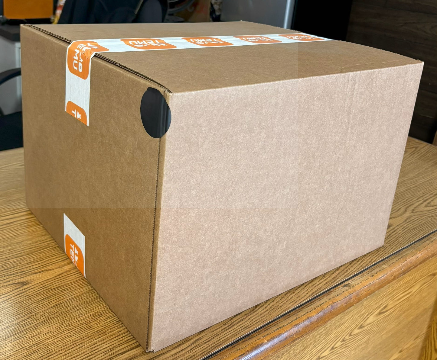 TEMU Mystery Box