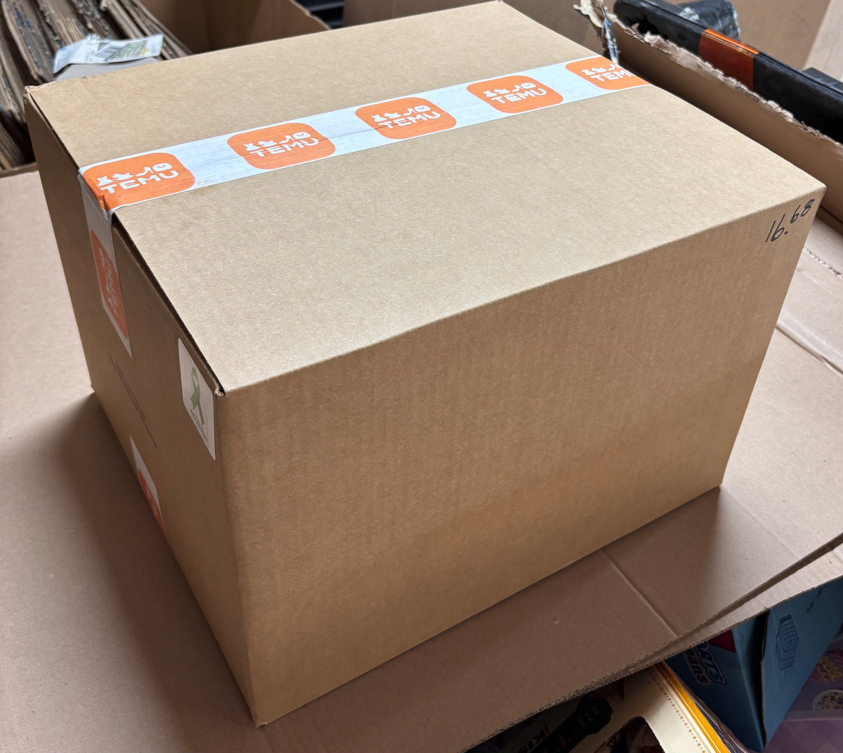 TEMU Mystery Box